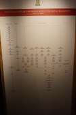 Enlarge photo 242