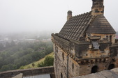 Enlarge photo 259