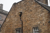 Enlarge photo 297