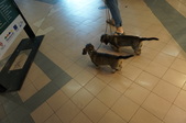 Enlarge photo 30
