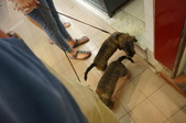 Enlarge photo 32