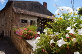 Enlarge photo 53