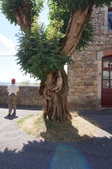 Enlarge photo 56