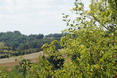 Enlarge photo 58