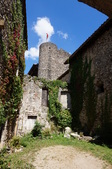 Enlarge photo 63