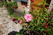 Enlarge photo 95