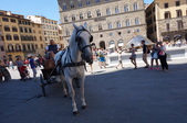 Enlarge photo 128