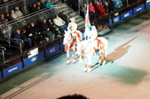 Enlarge photo 146
