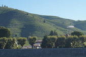 Enlarge photo 49
