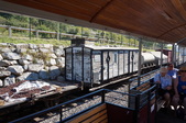 Enlarge photo 66