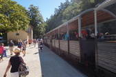 Enlarge photo 95