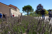 Enlarge photo 118