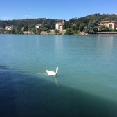 Enlarge photo 134