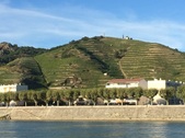 Enlarge photo 137