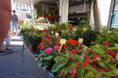 Enlarge photo 43
