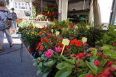 Enlarge photo 44