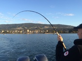 Enlarge photo 27