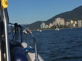 Enlarge photo 39