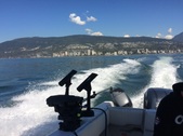 Enlarge photo 52