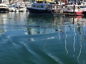 Enlarge photo 60