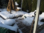 Enlarge photo 2