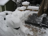 Enlarge photo 17