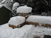 Enlarge photo 18