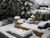 Enlarge photo 21