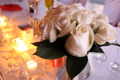 Enlarge photo 157