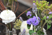 Enlarge photo 27