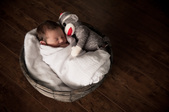 Enlarge photo 31