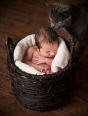 Enlarge photo 34