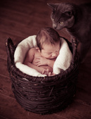 Enlarge photo 42