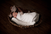 Enlarge photo 49