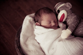 Enlarge photo 50