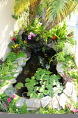 Enlarge photo 50