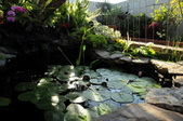 Enlarge photo 53