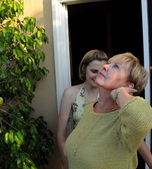 Enlarge photo 83