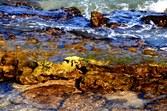 Enlarge photo 25