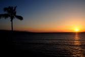 Enlarge photo 53