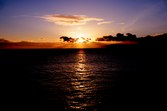 Enlarge photo 65