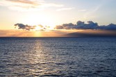 Enlarge photo 66