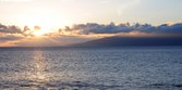Enlarge photo 70