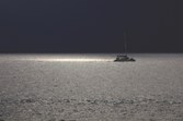 Enlarge photo 82