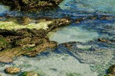 Enlarge photo 84