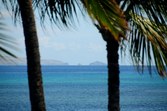 Enlarge photo 86