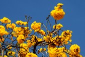 Enlarge photo 83