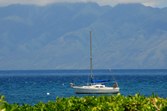 Enlarge photo 93