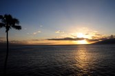 Enlarge photo 98