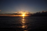 Enlarge photo 97